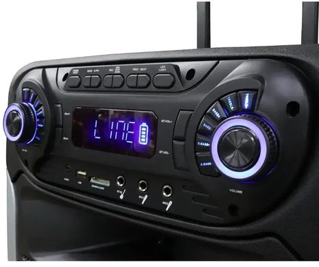 Портативна акустична система з Bluetooth пультом управління та 2-ма радіомікрофонами 80Вт 15" 81х30х30см